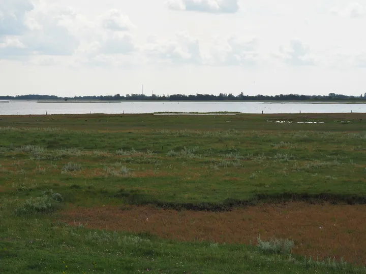 Halshuisene + Enebaerodde Beach (Denemarken)